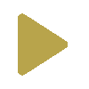Video Play Button