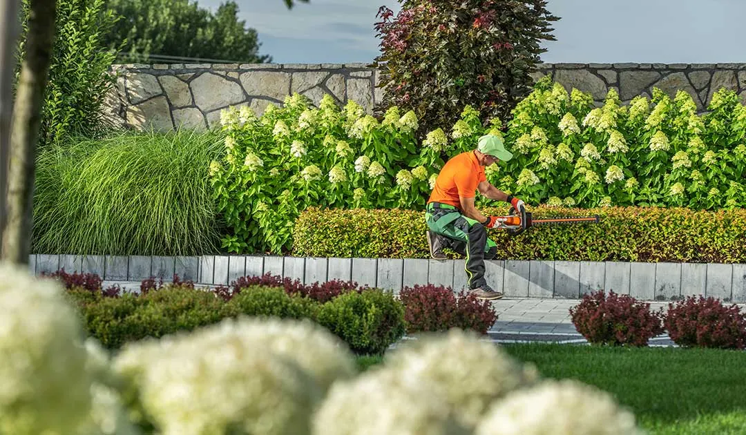 Commercial Landscaping